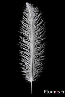 Strauss - 30-40 cm - silber